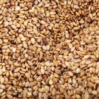 Sesame Seeds